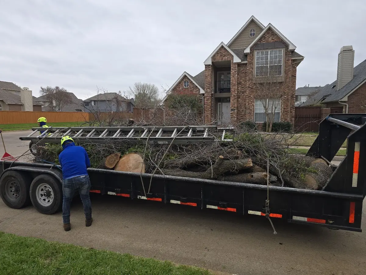 Expert Tree Pest Control with proper safety equipment in Churchville